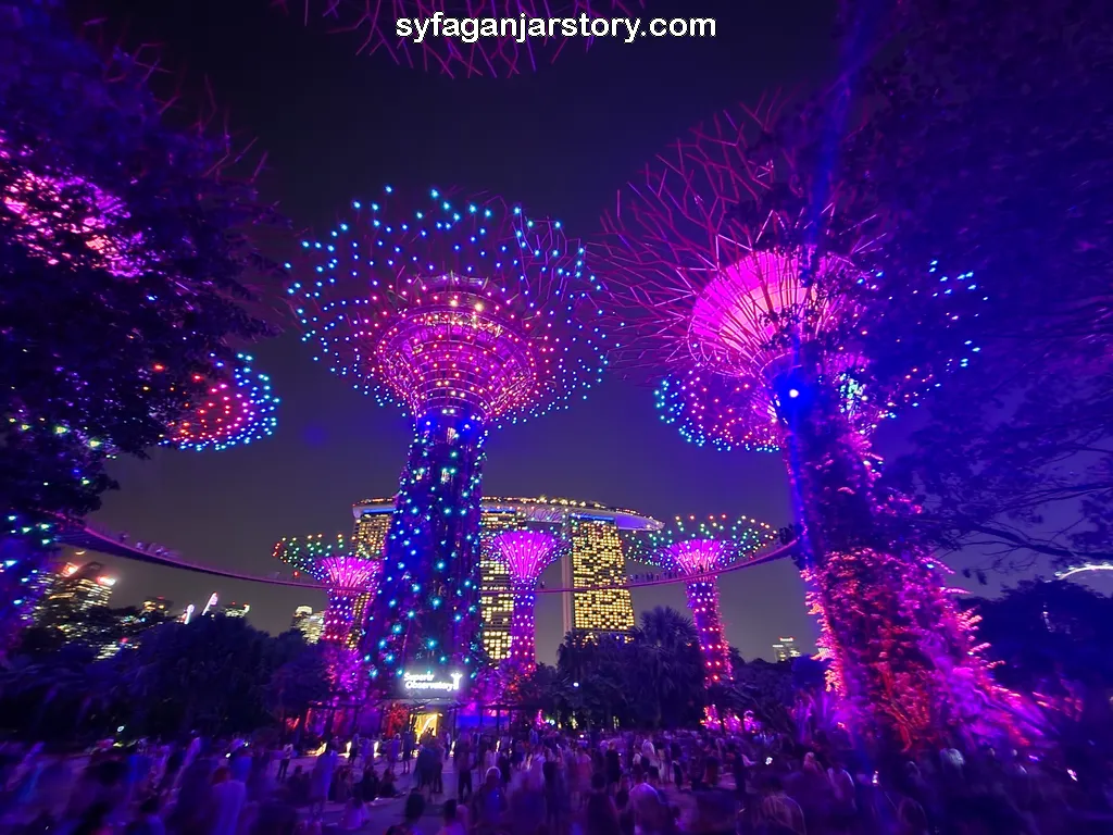 light show gardens by the bay
