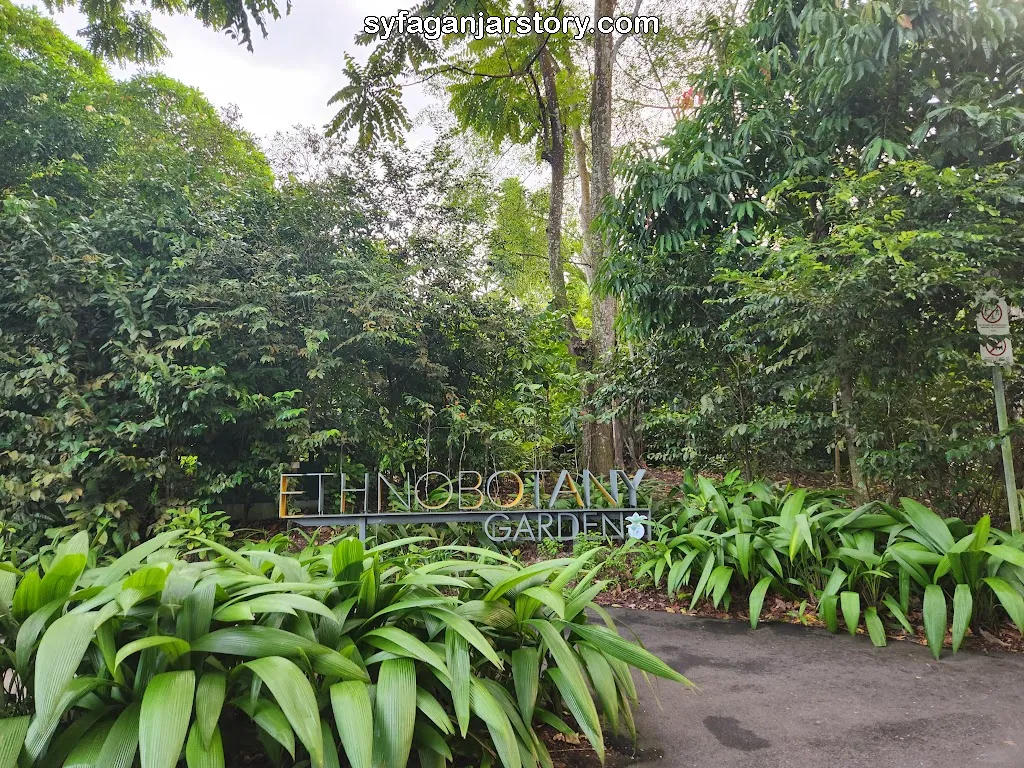 Ethnobotany Garden