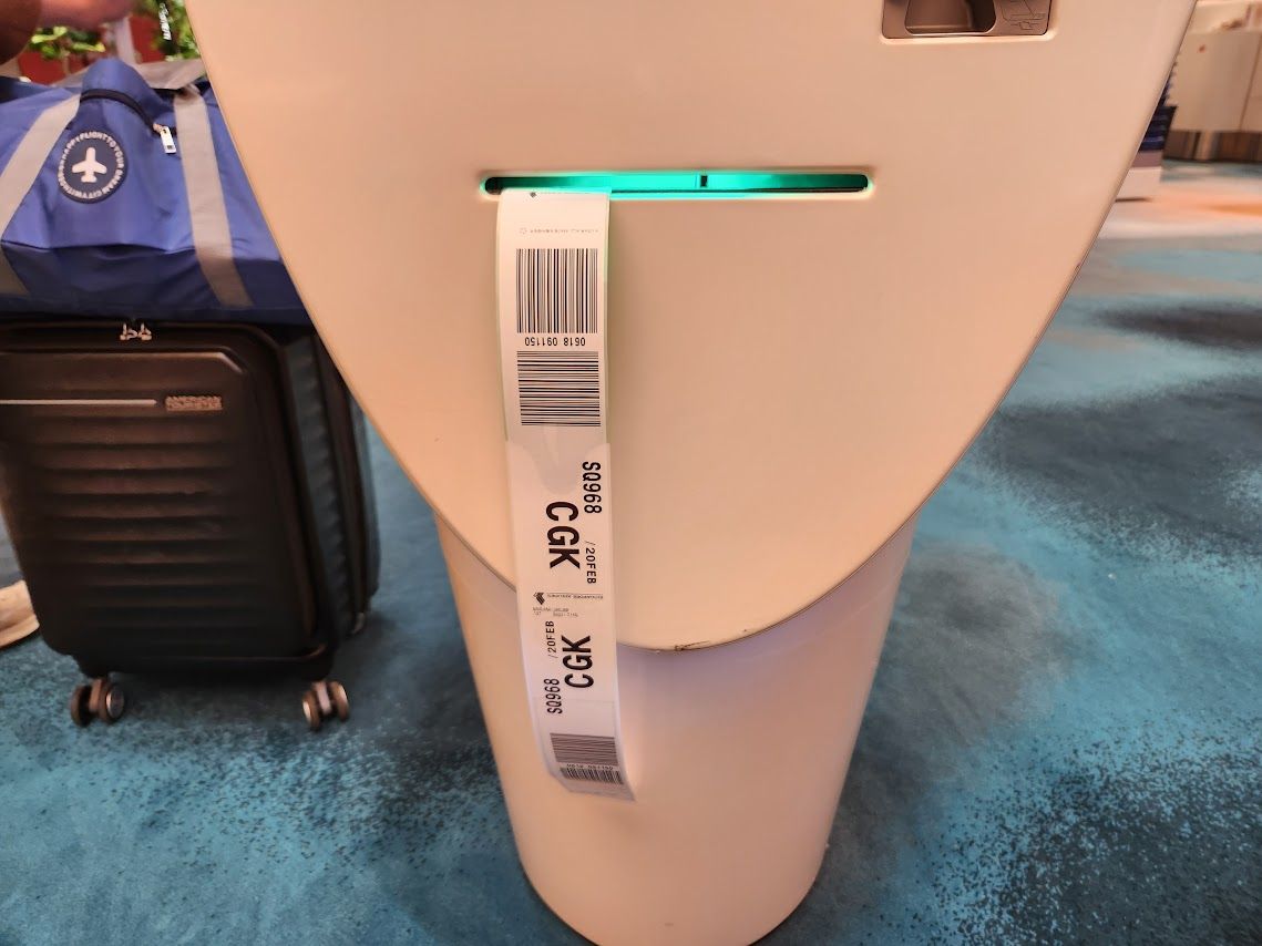 How to Identify Your Checked Baggage Number